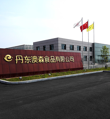 公司簡介